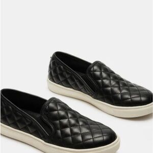 Steve Madden Ecentrcq